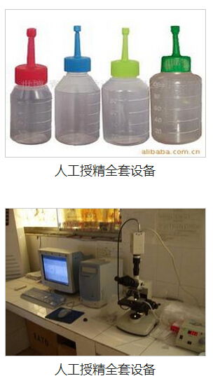 九宮格網絡營銷 助力中小企業數字化騰飛，共筑畜牧漁業飼料銷售新生態
